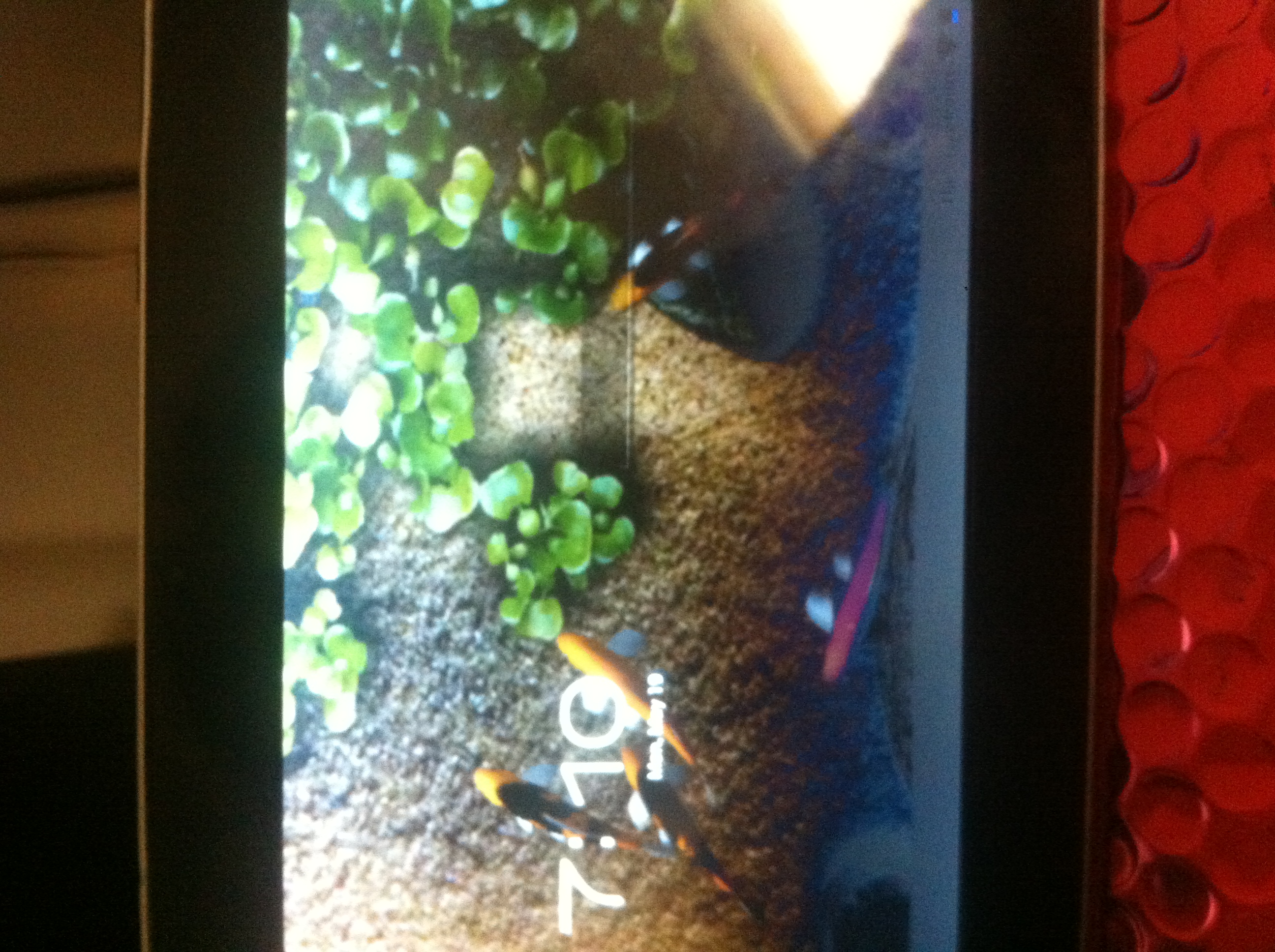 Jazz Android, Silver Tablet